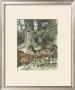 Fallow Deer by Friedrich Specht Limited Edition Print