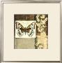 Butterfly Collage Iv by Jennifer Goldberger Limited Edition Pricing Art Print