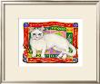 White Cat On Cushion by Gale Pitt Limited Edition Print