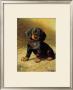 Puppy by H. Sperling Limited Edition Pricing Art Print