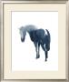 Chinese Horse by Aurore De La Morinerie Limited Edition Print
