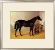 Charles Xii, 1839 by John Frederick Herring I Limited Edition Print