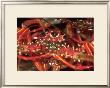 Hello Lobster by Charles Glover Limited Edition Print