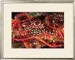 Hello Lobster by Charles Glover Limited Edition Print