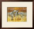 Zebras by Joaquin Moragues Limited Edition Print