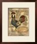 Tuscany Rooster Iv by Deborah Bookman Limited Edition Pricing Art Print
