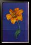 Flower On Blue by Paul Hargittai Limited Edition Print