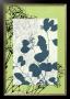 Translucent Wildflowers Viii by Jennifer Goldberger Limited Edition Print