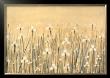 Field Of White by Simon Fairless Limited Edition Print