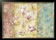 Oriental Magnolia by Nicola Rabbett Limited Edition Pricing Art Print