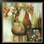 Still Life Illusion Ii by Sandy Clark Limited Edition Print