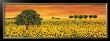 Field Of Sunflowers by Richard Leblanc Limited Edition Pricing Art Print