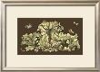 Nature's Splendor On Chocolate I by Michel Pergolesi Limited Edition Print