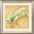 Elegante Orchidea by Matina Theodosiou Limited Edition Pricing Art Print