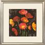 Poppy Bouquet I by John Seba Limited Edition Print