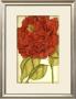 Ruby Blooms Ii by Jennifer Goldberger Limited Edition Pricing Art Print