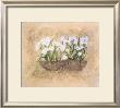 Winter Whites by Deborah K. Ellis Limited Edition Print