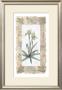 Elegant Orchid by George Caso Limited Edition Pricing Art Print