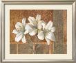 Three Grace Lilies by Selvaggio Limited Edition Print