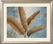 Palm Fronds I by Jordan Gray Limited Edition Print