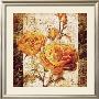 Yellow Senses by Joadoor Limited Edition Print