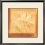 Ancient Magnolias I by Lewman Zaid Limited Edition Print