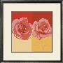 Pop Roses Ii by Rod Neer Limited Edition Pricing Art Print