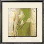 Elegant Callas by Paula Reed Limited Edition Pricing Art Print