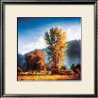 Autumn Morning I by J.M. Steele Limited Edition Print