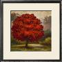 Tree Cast I by Scott Lee Limited Edition Print