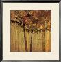 Sunset Palms Ii by Amori Limited Edition Print