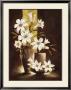 Golden Lily by Claudia Ancilotti Limited Edition Print