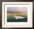 Paines Creek Midsummer by William F. Duffy Limited Edition Print