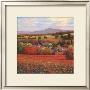 Poppy Pastures Ii by T. C. Chiu Limited Edition Print