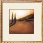 Memories Of Tuscany Ii by Tandi Venter Limited Edition Print