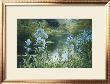 Blue Poppies by Peter Ellenshaw Limited Edition Print
