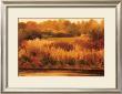 Sumach Creek by Diann Haist Limited Edition Print