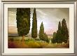 Cypress Road, Siena by Jimmy Williams Limited Edition Print