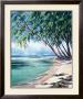 Coral Beach by Lois Brezinski Limited Edition Print