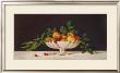 Fruit In An Oval Of Silver by Patrick Farrell Limited Edition Print