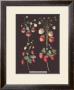 Strawberries by George Brookshaw Limited Edition Print