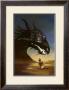 Black Dragon by John Bolton Limited Edition Print