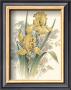 Yellow Iris by T. C. Chiu Limited Edition Pricing Art Print