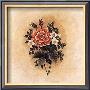 Antique Rose Ii by Mary Hughes Limited Edition Pricing Art Print