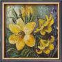 Yellow Lilies In Spring by Katharina Schottler Limited Edition Pricing Art Print