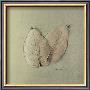 Pair Of Skelton Leaves by Ed Goldstein Limited Edition Pricing Art Print