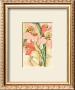 French Orchid by Samuel Curtis Limited Edition Pricing Art Print