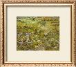 Long Grass With Butterflies, C.1890 by Vincent Van Gogh Limited Edition Print