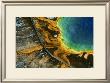 Source Chaude Du Grand Prismatic, Yellowstone by Yann Arthus-Bertrand Limited Edition Print