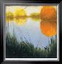Autumn Marsh Ii by Mark St. John Limited Edition Pricing Art Print